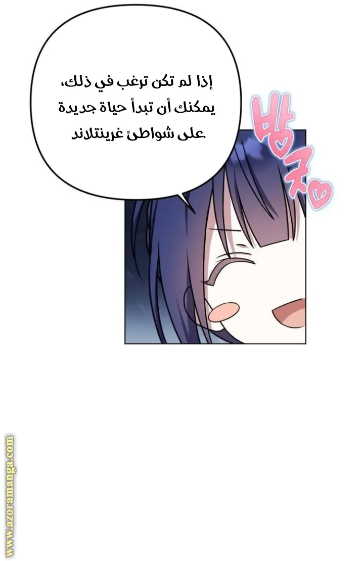 الصفحة 26