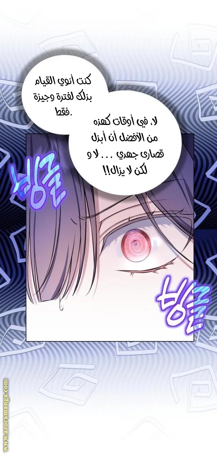 الصفحة 29