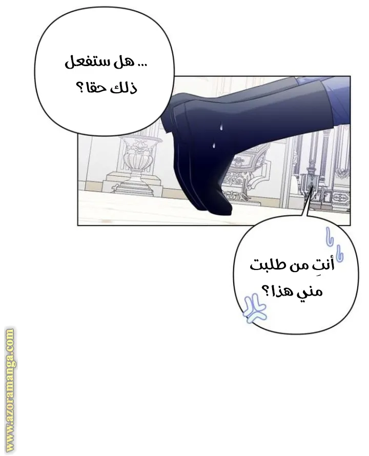 الصفحة 41