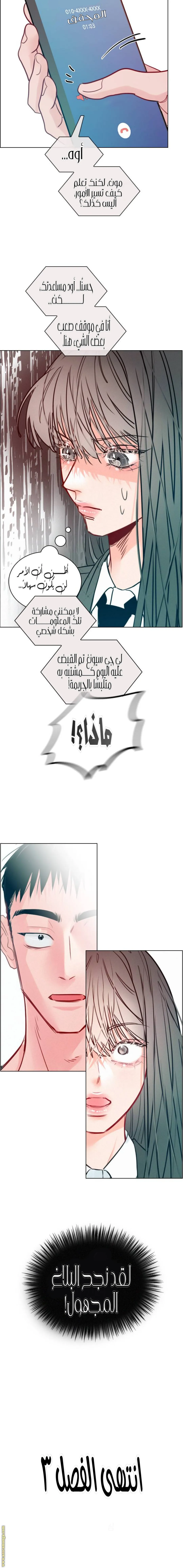 الصفحة 17