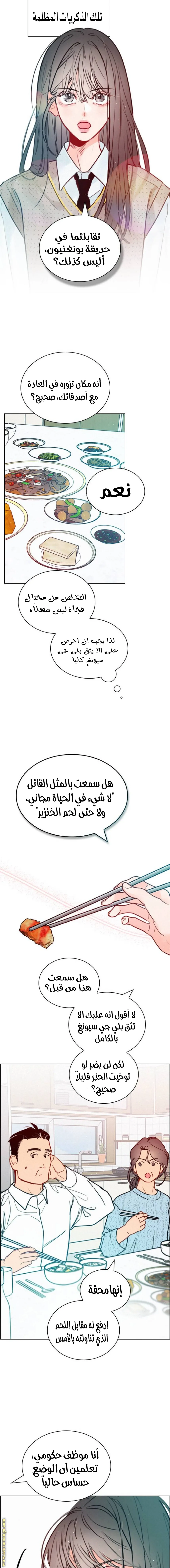 الصفحة 15