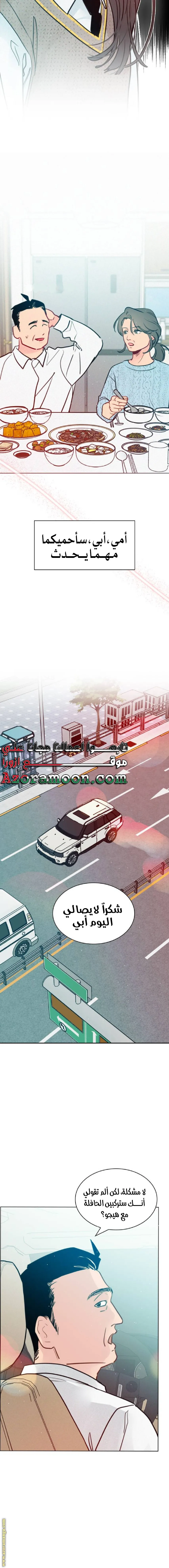 الصفحة 17