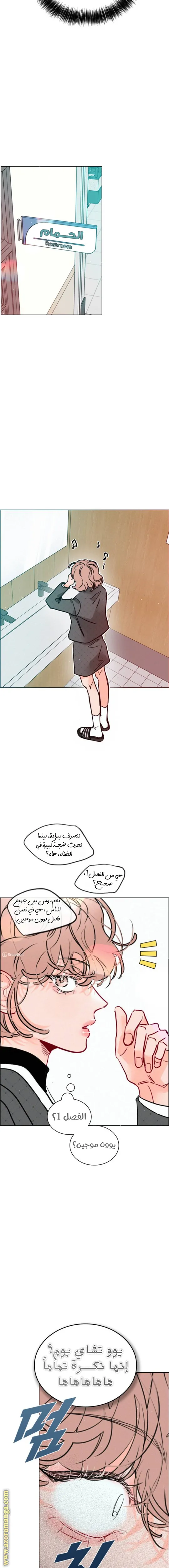 الصفحة 15