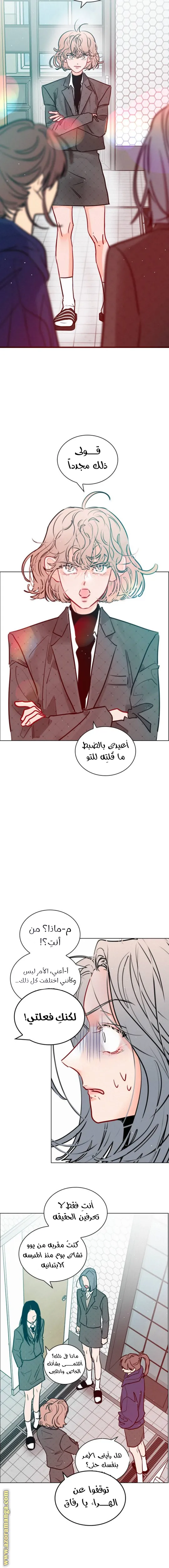 الصفحة 17