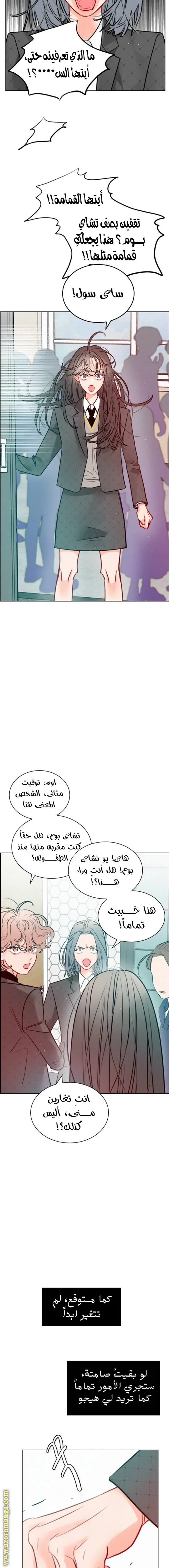 الصفحة 19
