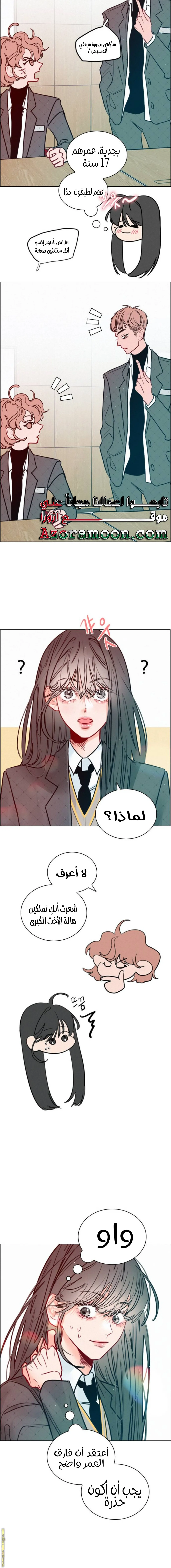 الصفحة 20