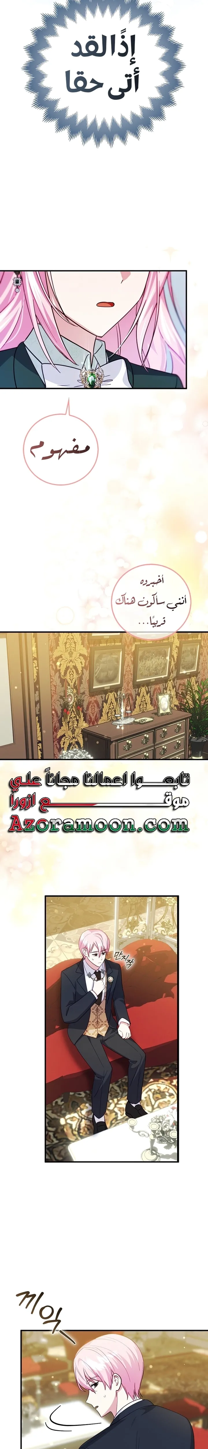 الصفحة 13