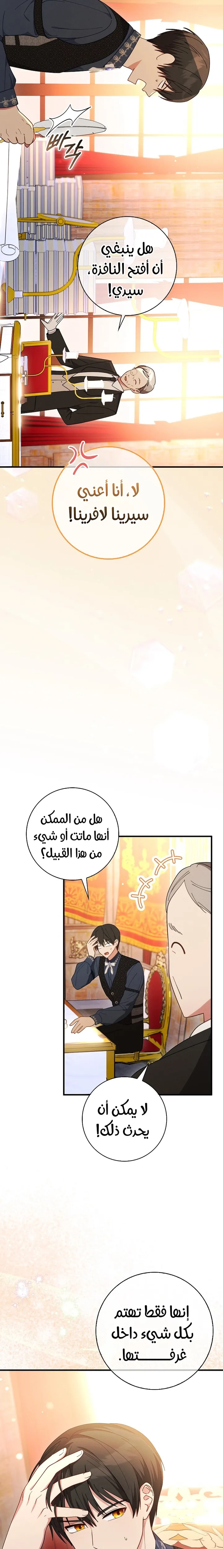 الصفحة 13