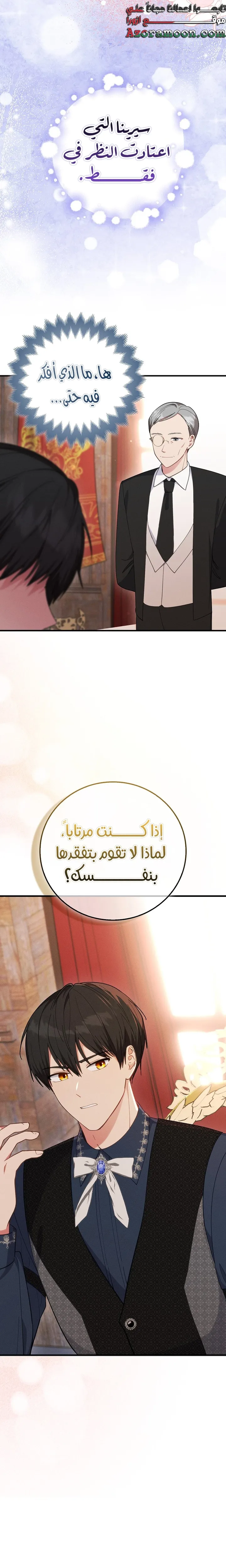 الصفحة 17