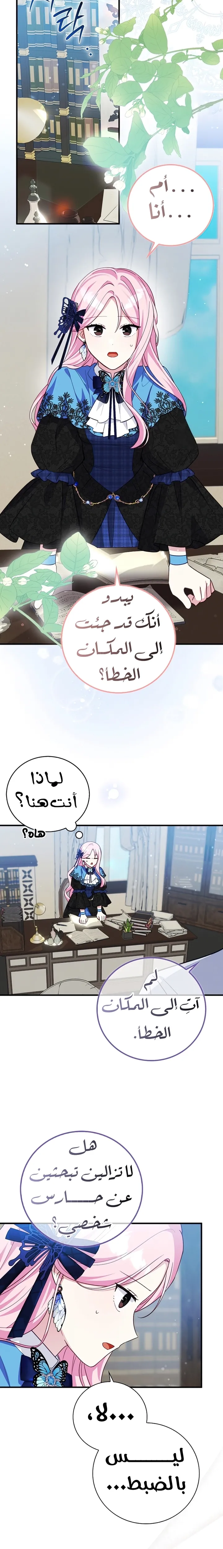 الصفحة 11