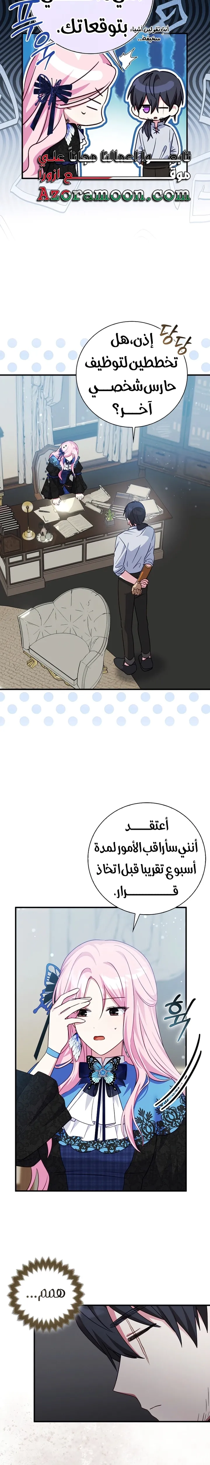 الصفحة 17