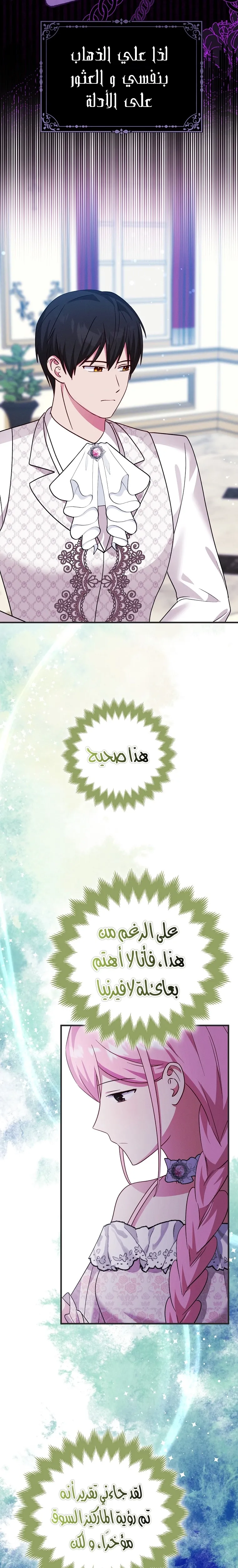 الصفحة 17