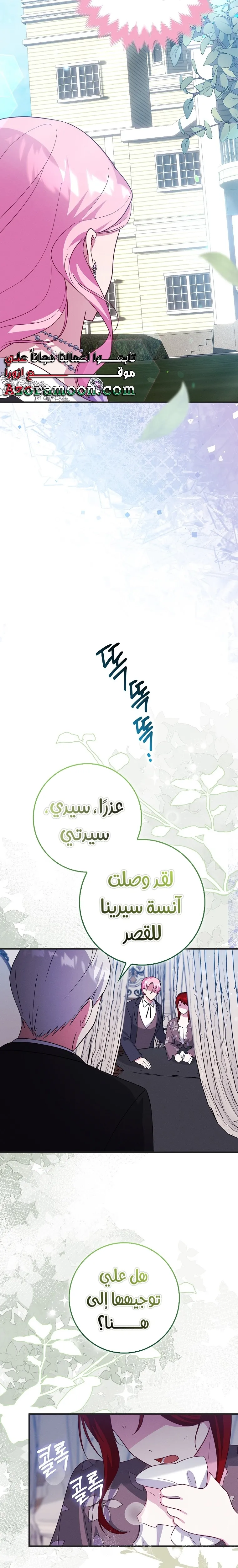 الصفحة 27