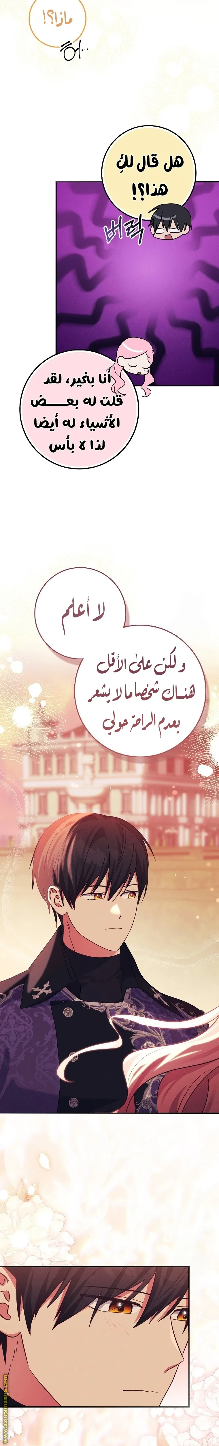 الصفحة 20