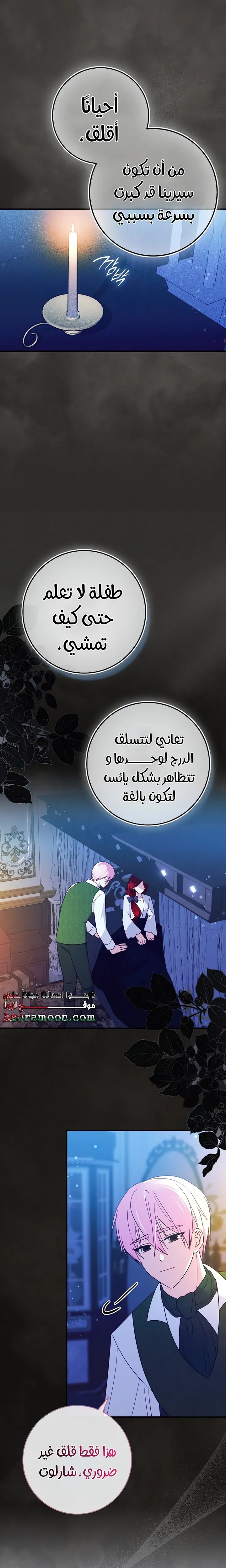 الصفحة 16