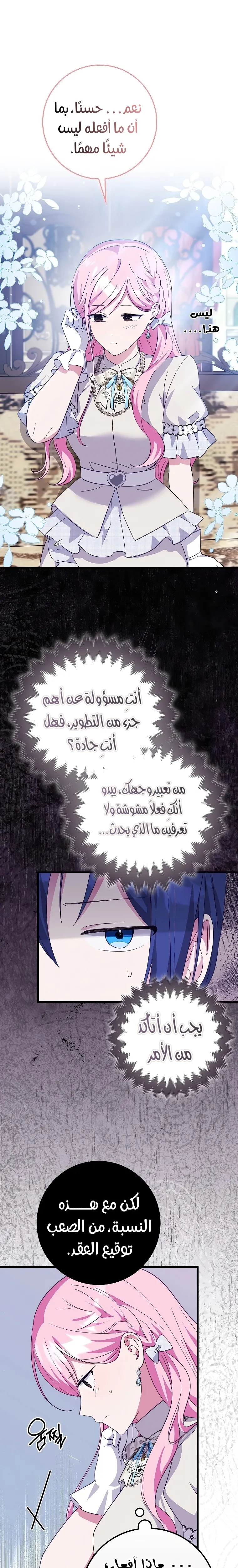 الصفحة 13