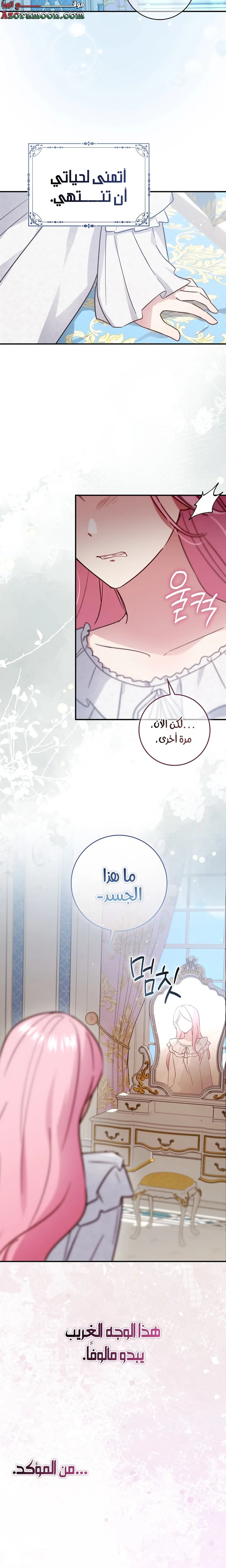 الصفحة 25
