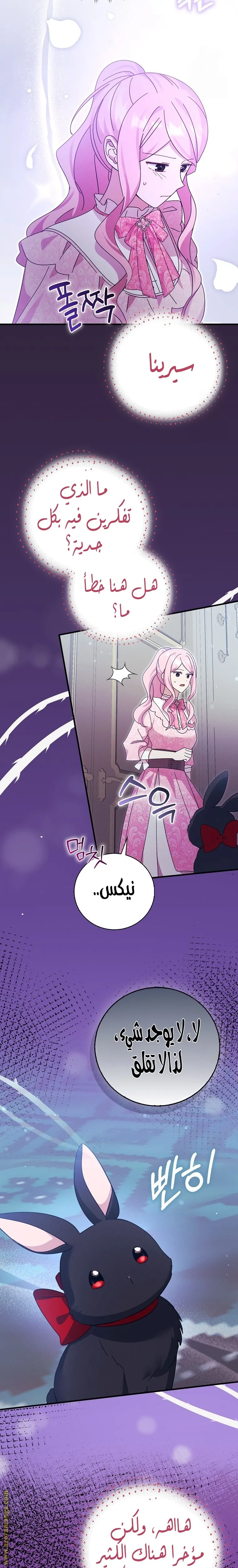 الصفحة 14
