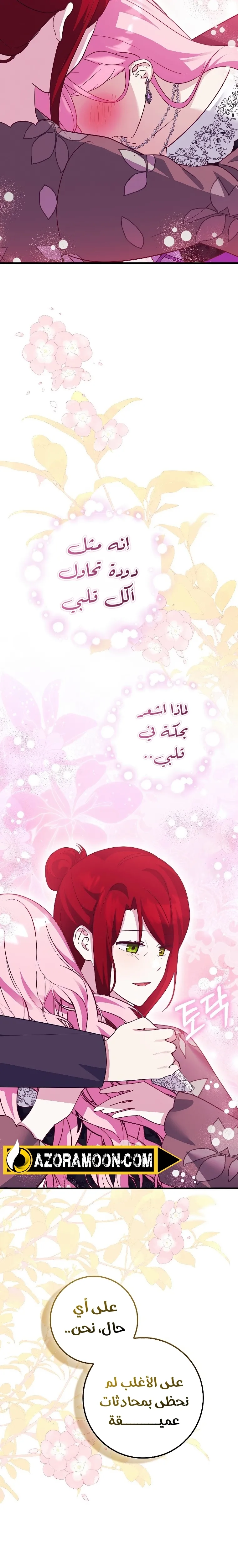 الصفحة 19