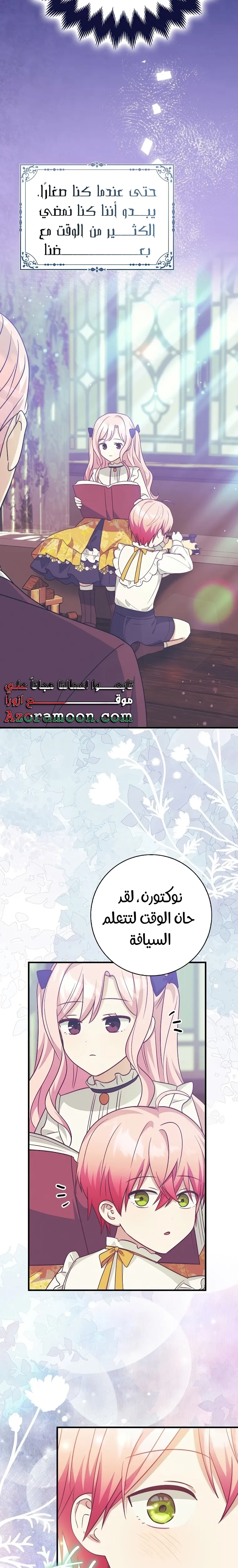 الصفحة 25