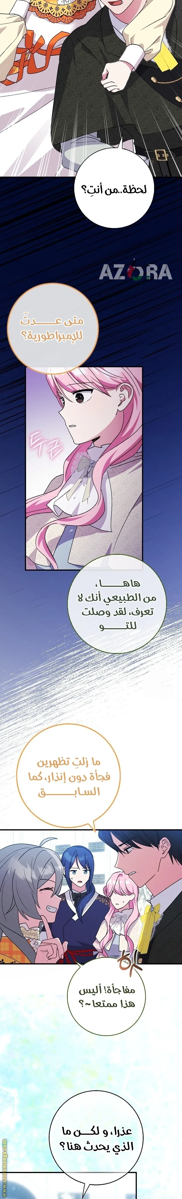 الصفحة 17