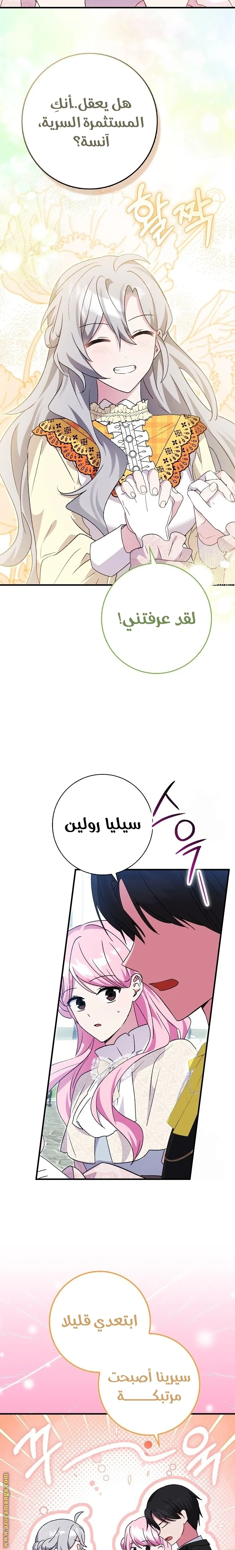 الصفحة 21