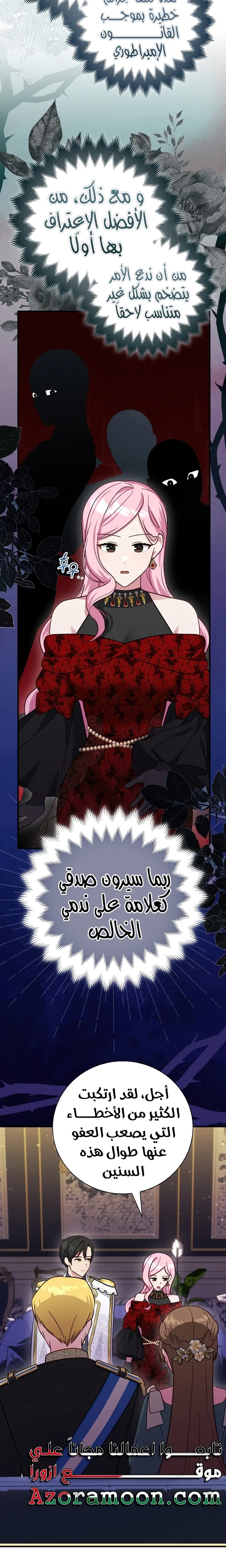 الصفحة 17