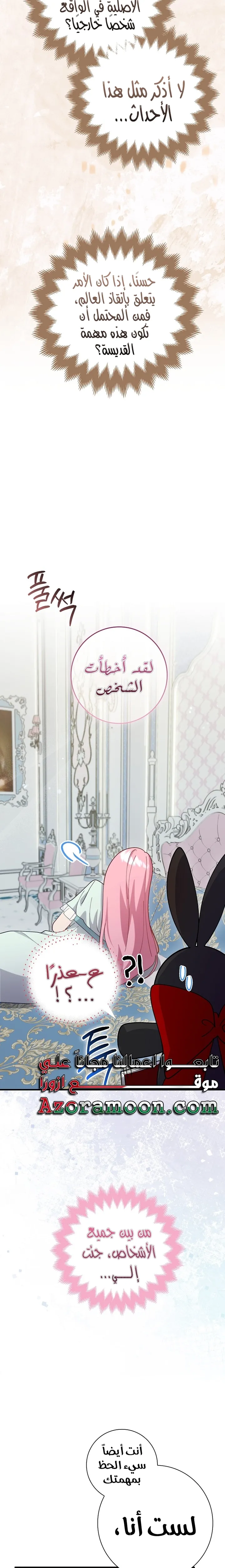 الصفحة 19