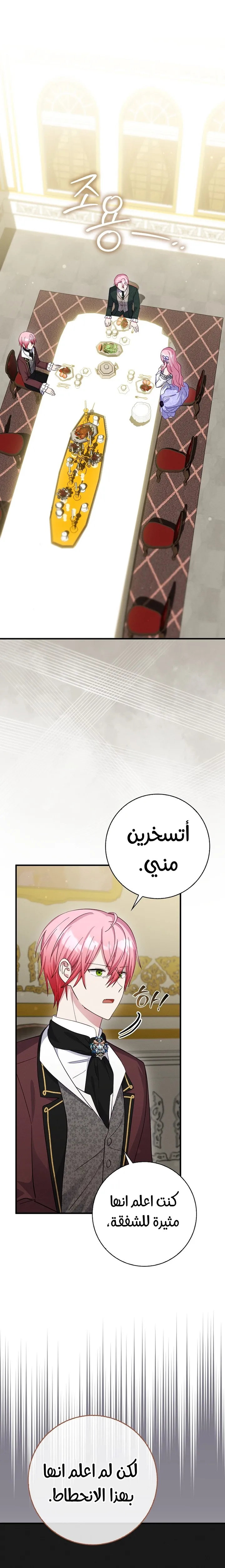 الصفحة 19