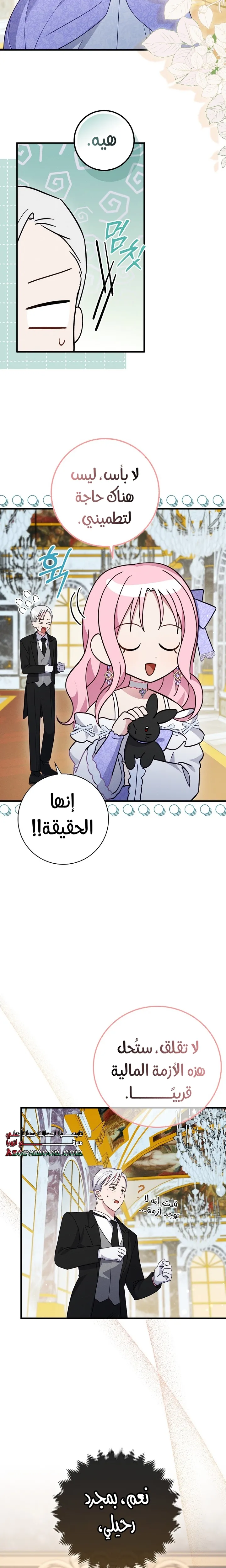 الصفحة 17