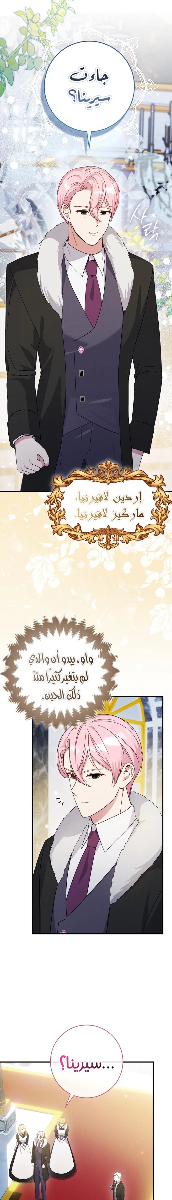 الصفحة 19