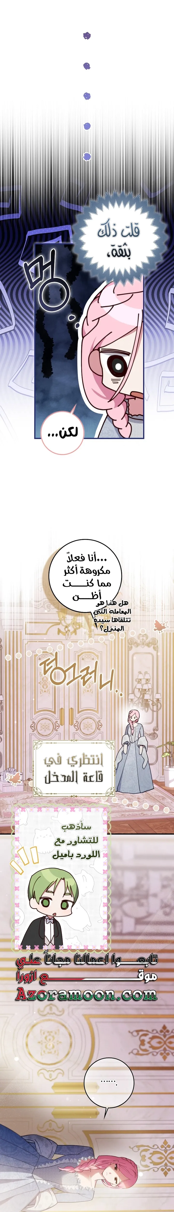 الصفحة 17