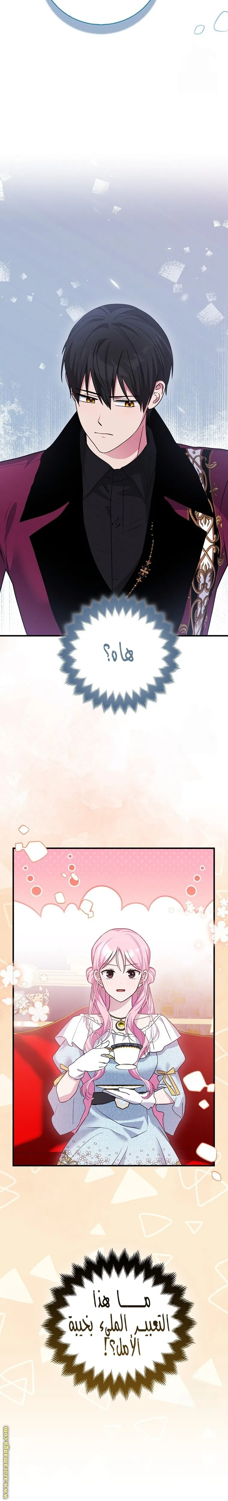 الصفحة 3