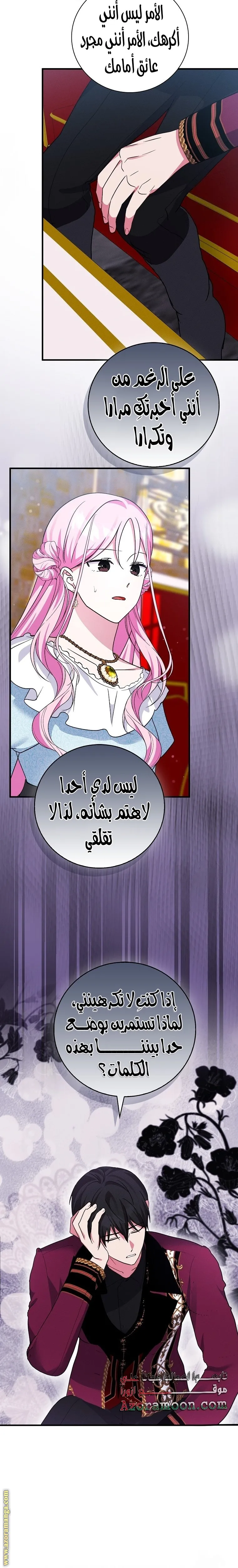 الصفحة 17