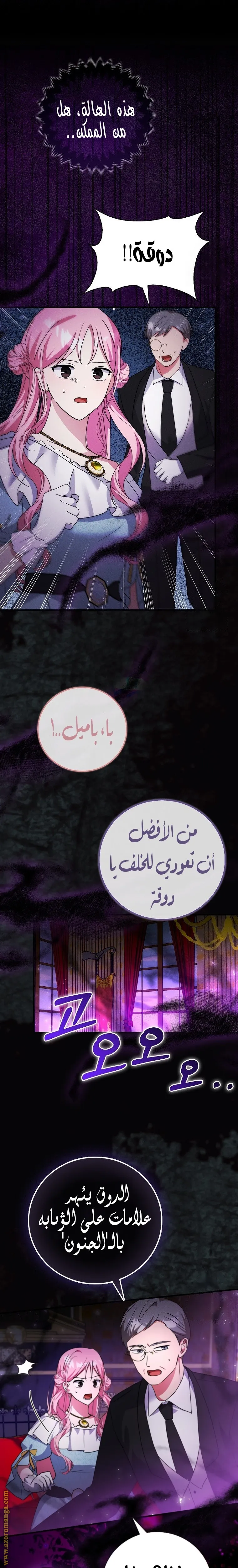 الصفحة 24