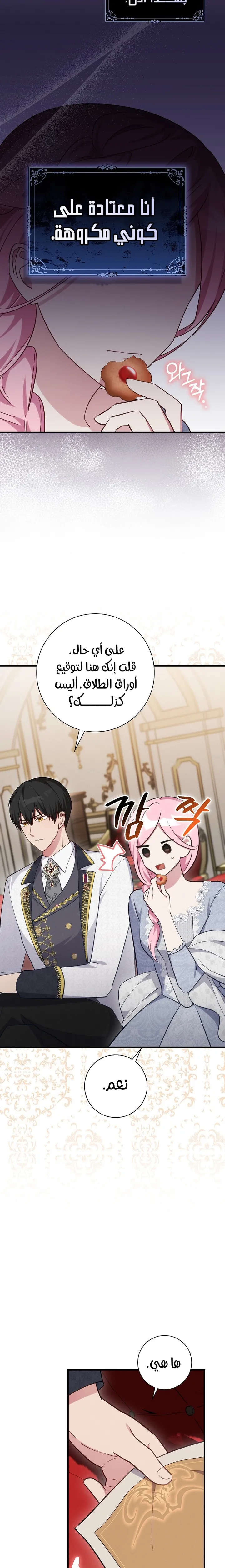 الصفحة 16