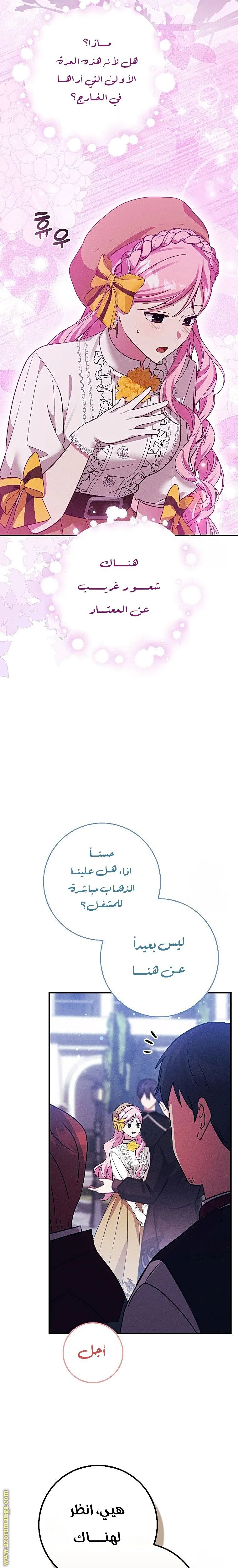 الصفحة 17