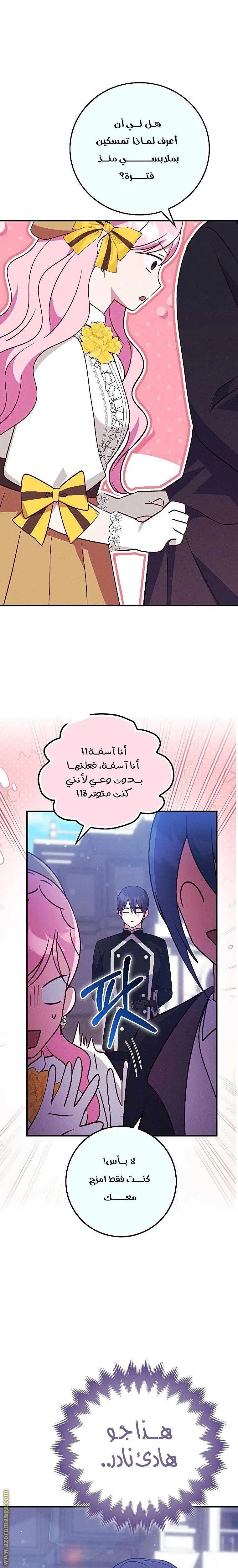الصفحة 24