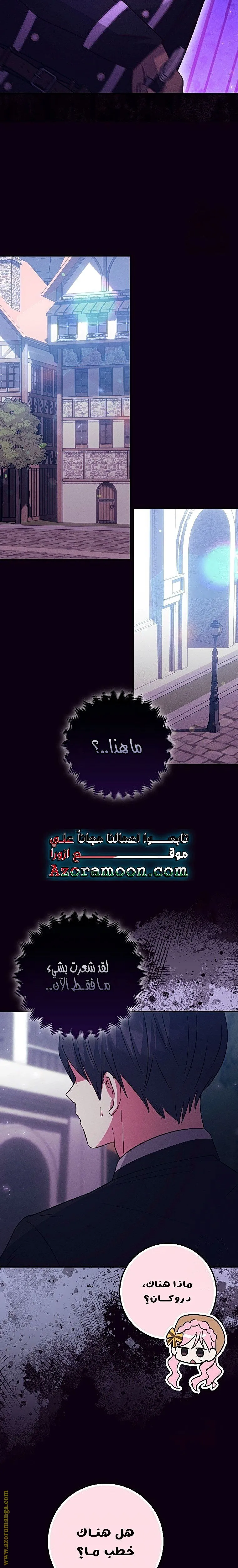 الصفحة 26