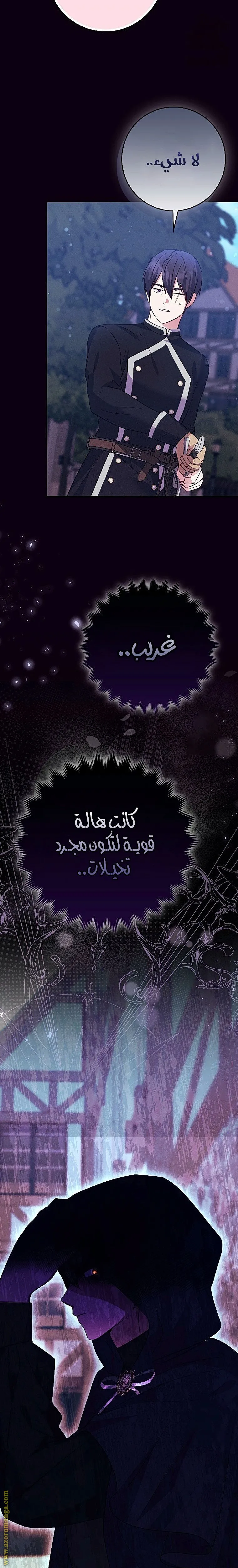 الصفحة 27