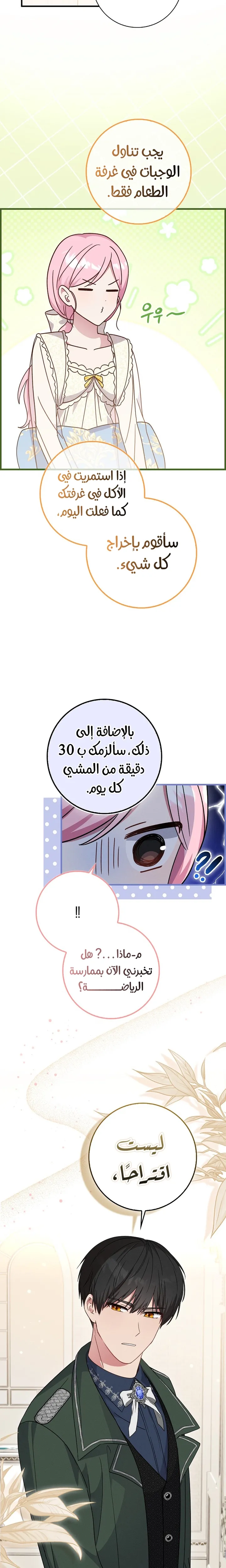 الصفحة 17