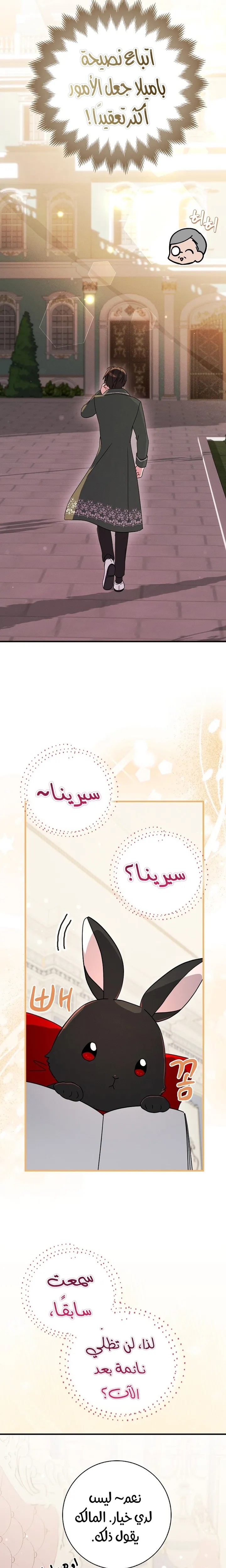 الصفحة 20