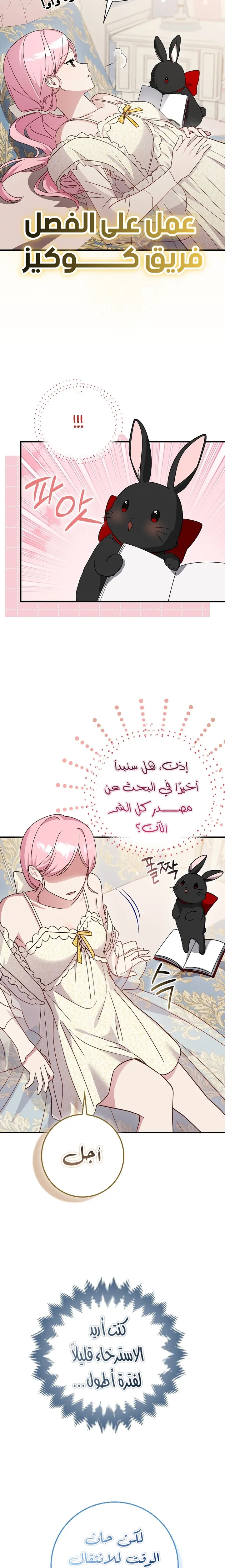 الصفحة 21