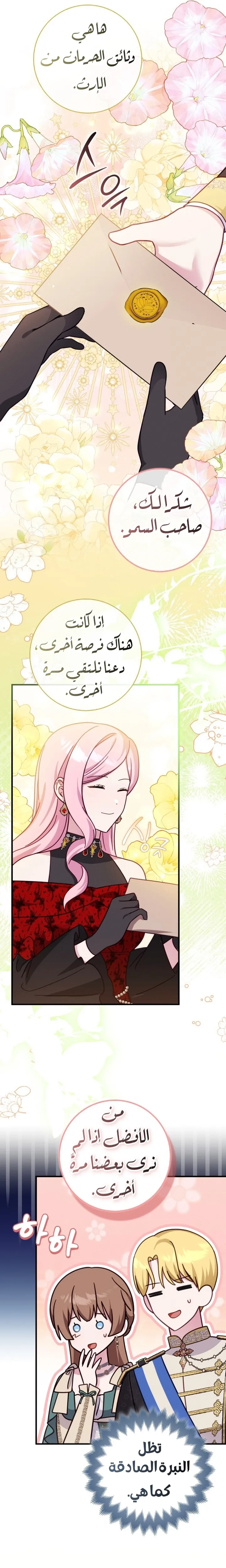 الصفحة 17