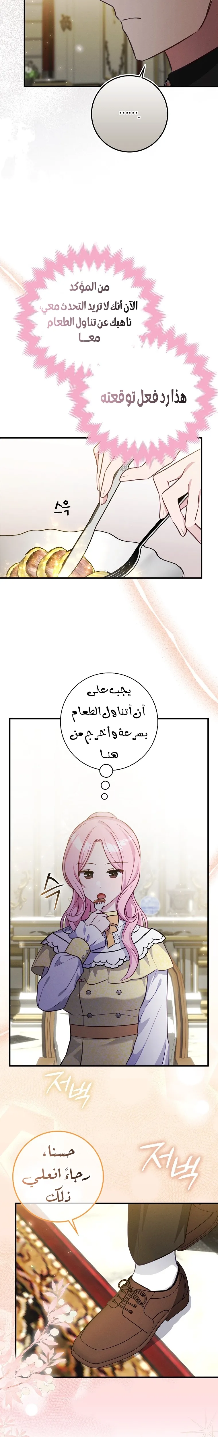 الصفحة 17