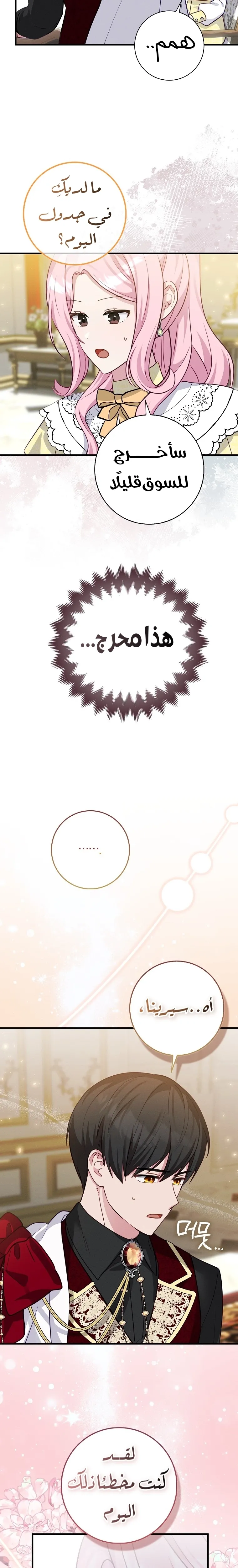 الصفحة 19