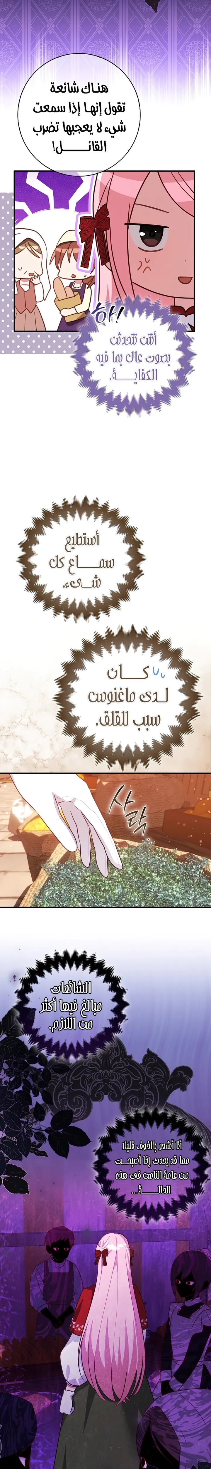 الصفحة 17