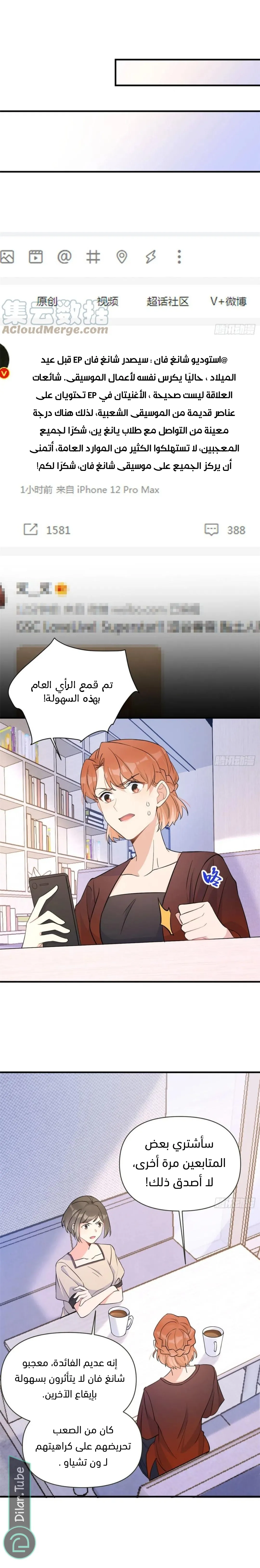 الصفحة 13