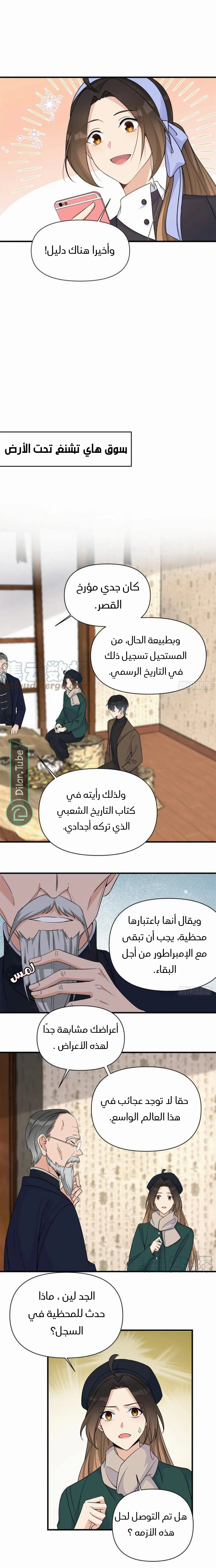الصفحة 8