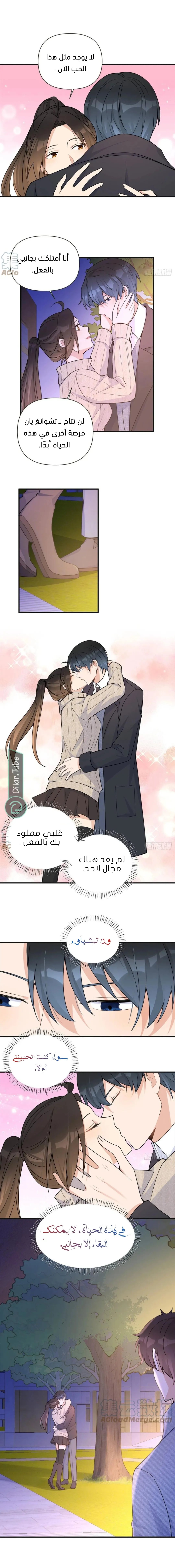 الصفحة 6
